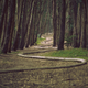 Illustration for article titled How to Find Your Career Path